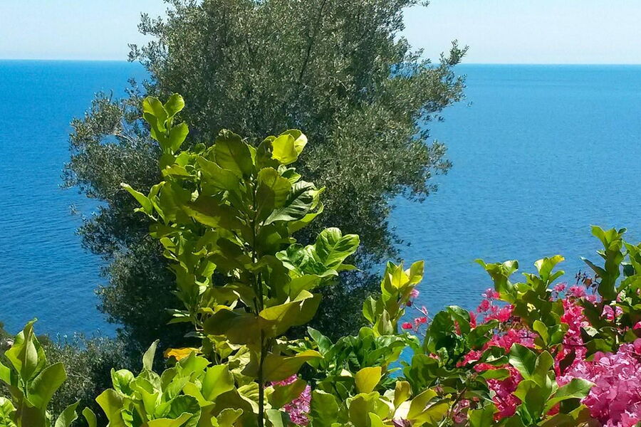 Villa Delfino - Nr. S242