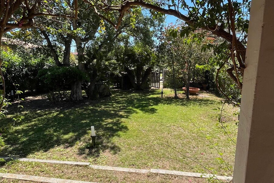 Nido Pira - Nr. S491