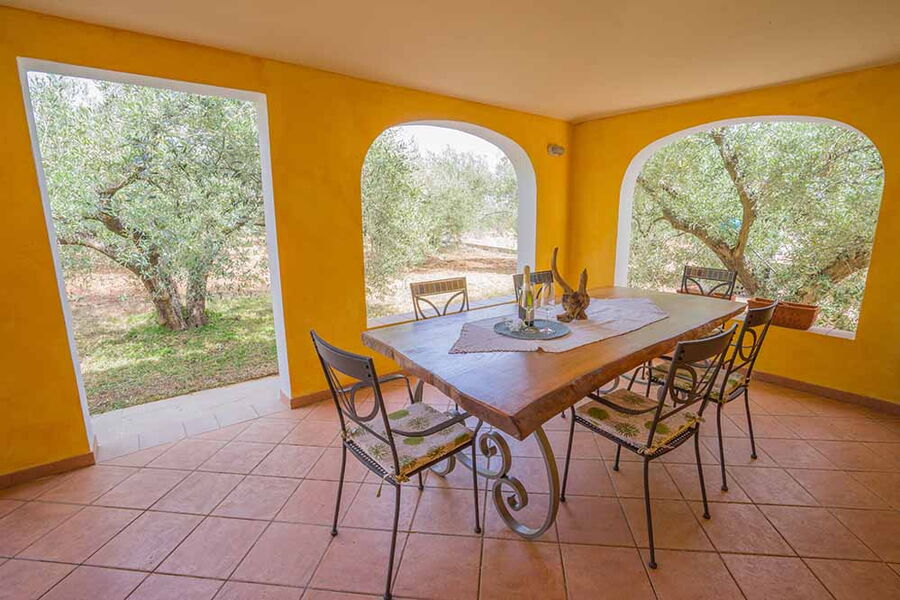 Plantagenhaus im Olivenhain - Nr. 608 - Terrasse