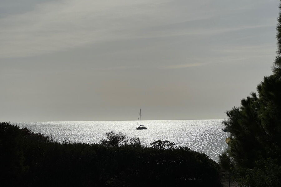 Villa Olivastro - Nr. S344