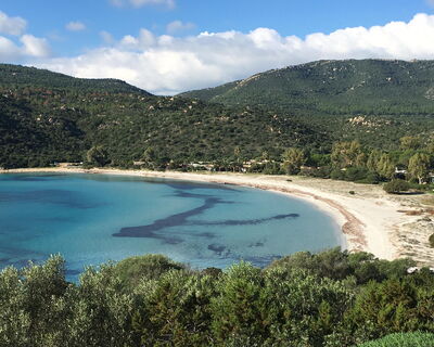 Nido Pira - Nr. S491