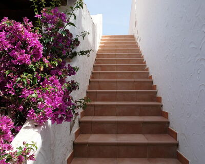 Dachterassenbungalow in Toplage II - Nr. S428