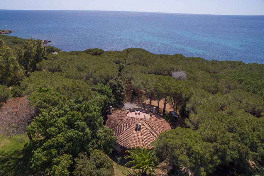 Bungalow direkt am Strand und im Wald - Nr. 191/2 - Vogelperspektive