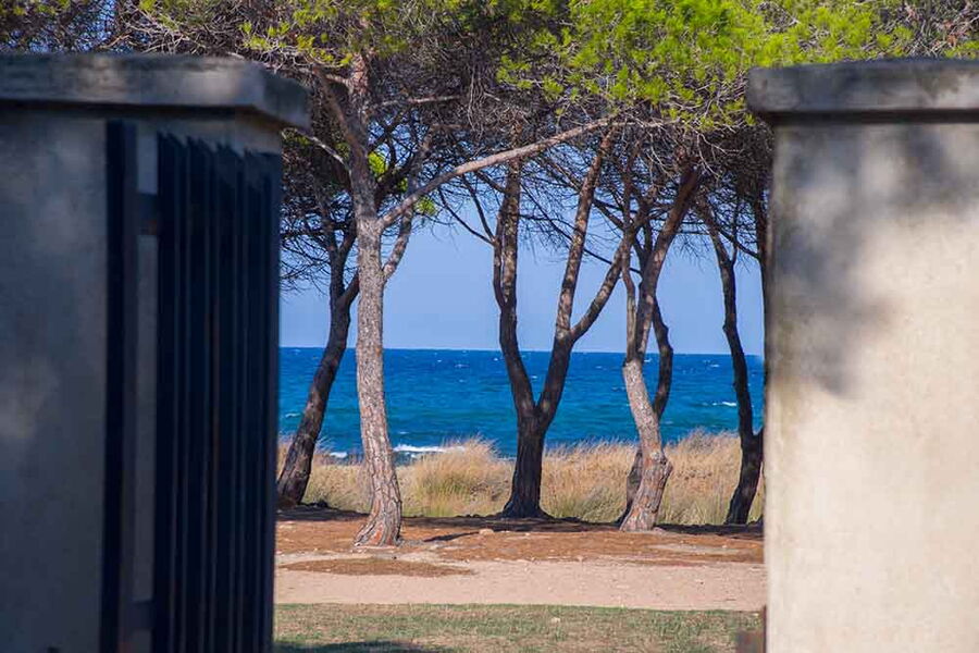 Unmittelbar am Strand - Nr. 304A - Blick zum Meer
