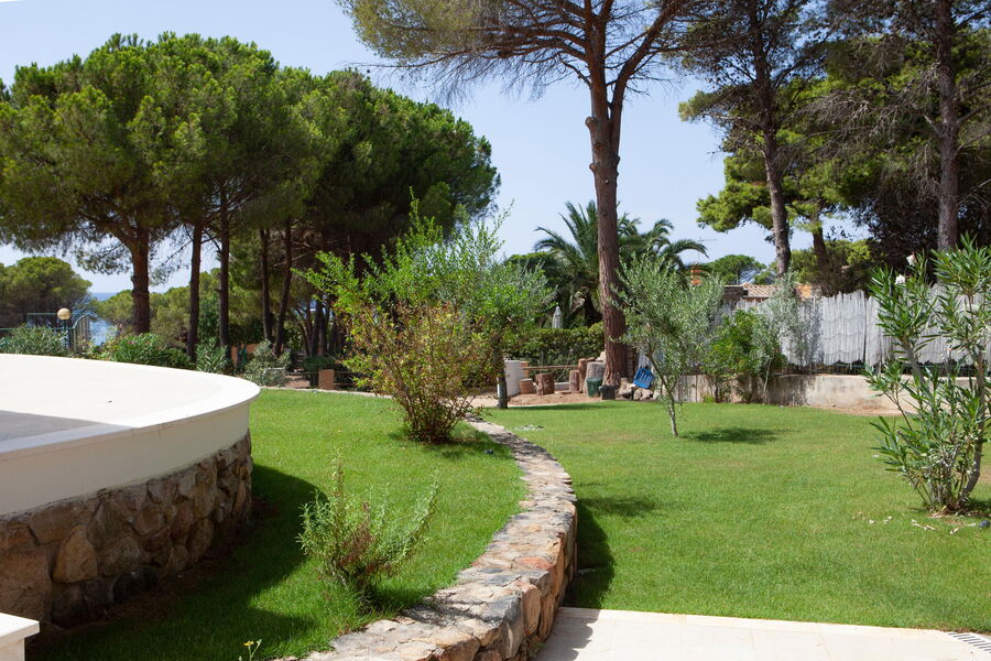 Villa Olivastro - Nr. S344