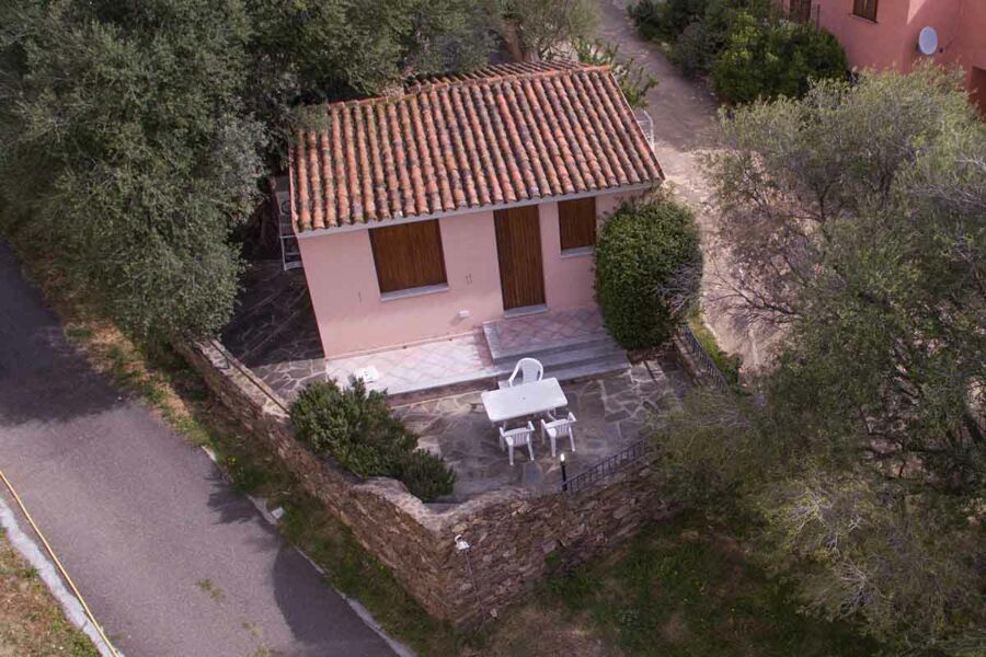 Atelier Oliva - Nr. 111