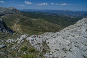 In den Monte Alba, Sardinien.