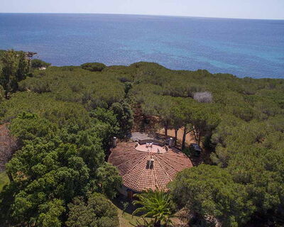 Bungalow direkt am Strand und im Wald - Nr. 191/2 - Vogelperspektive
