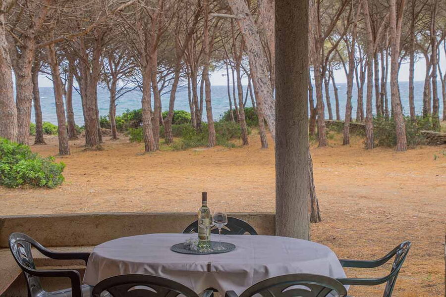 Bungalow direkt am Strand und im Wald - Nr. 191/2 - Terrasse