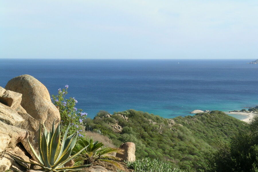 Haus at the Top II - Nr. S496