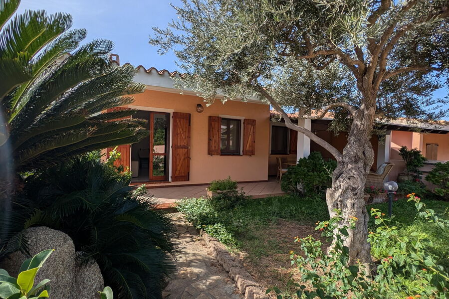 Villa Family II - Nr. S377