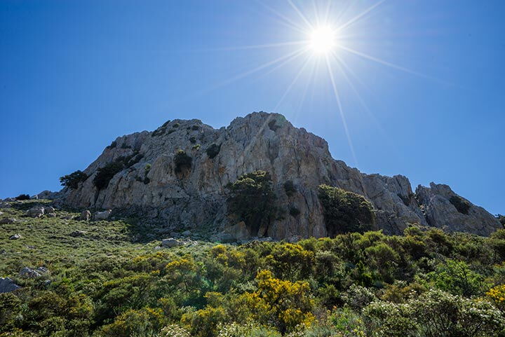 Monte Albo: Die „Dolomiten von Sardinien“