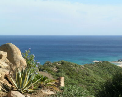 Haus at the Top II - Nr. S496