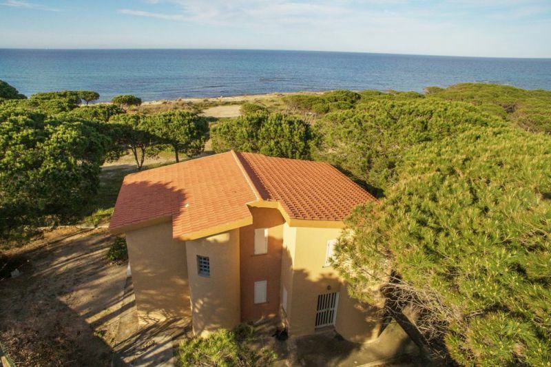 Surfer's Traumhaus - Nr. 308/2