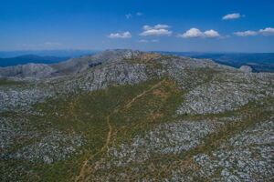 In den Monte Alba, Sardinien.