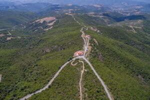 In den Monte Alba, Sardinien.