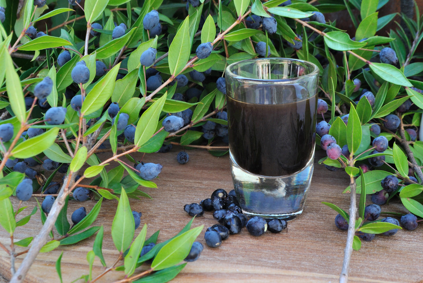 Der Mirto aus Sardinien