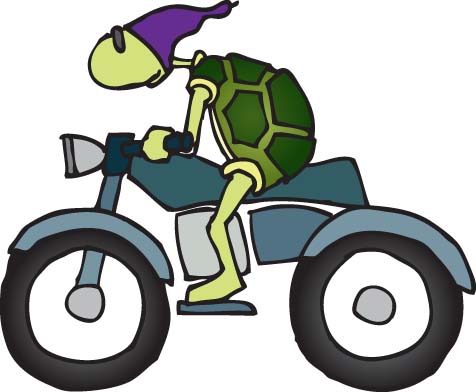 files/sardafit/diverses/Kroeten/turtles/Motorrad-von-der-Seite.jpg