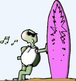 files/sardafit/diverses/turtles/Surfer-am-Brett-pfeifend.jpg