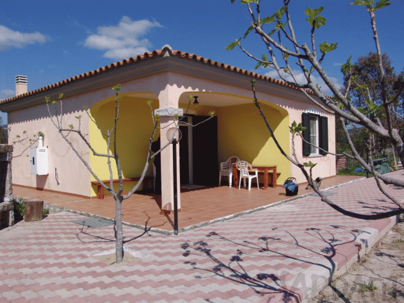 Anglers Traumhaus am Meer - Nr. 344 - Gesamt mit Terrasse