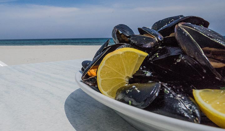 Cozze di Olbia in der „Tavernetta“ in Budoni.